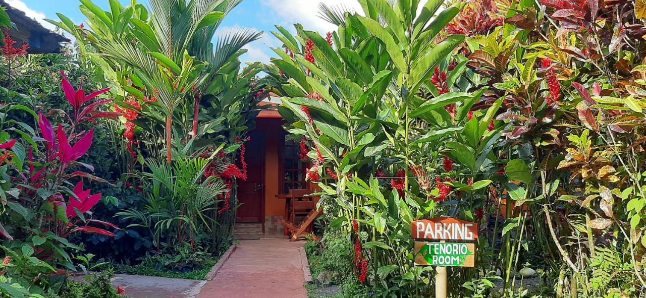 Bed and Breakfast Jardin Entre Montanas Bijagua de Upala Exterior foto