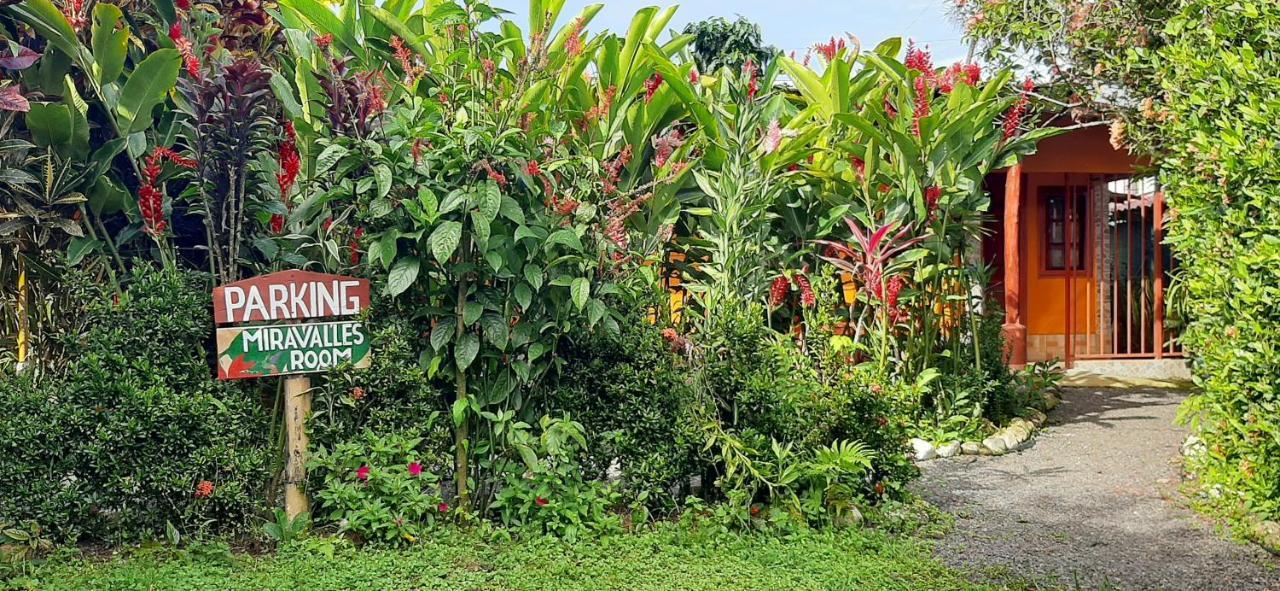 Bed and Breakfast Jardin Entre Montanas Bijagua de Upala Exterior foto
