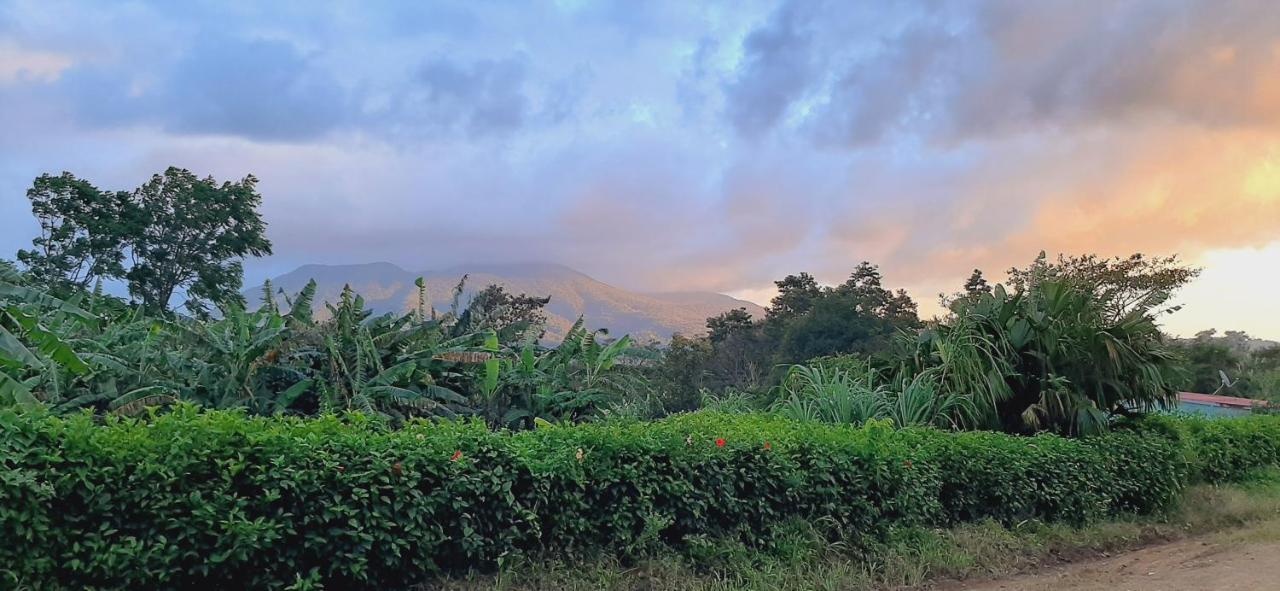 Bed and Breakfast Jardin Entre Montanas Bijagua de Upala Exterior foto