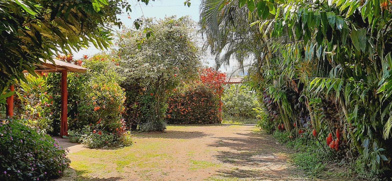 Bed and Breakfast Jardin Entre Montanas Bijagua de Upala Exterior foto
